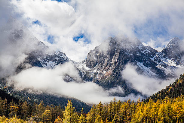 The mountains and fog in autumn
