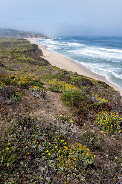 istock The Big Sur Coastline in California 2226663942