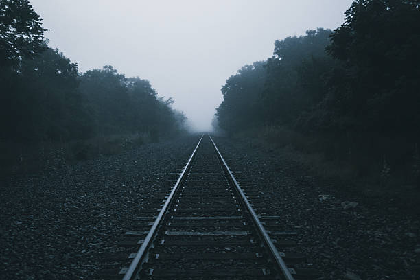 Railroad tracks curving through a misty landscape with bare trees and fallen leaves