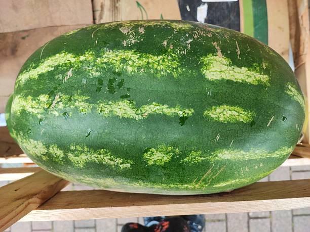 istock Massive watermelons in a crate, Glastonbury, England UK. 2226669335