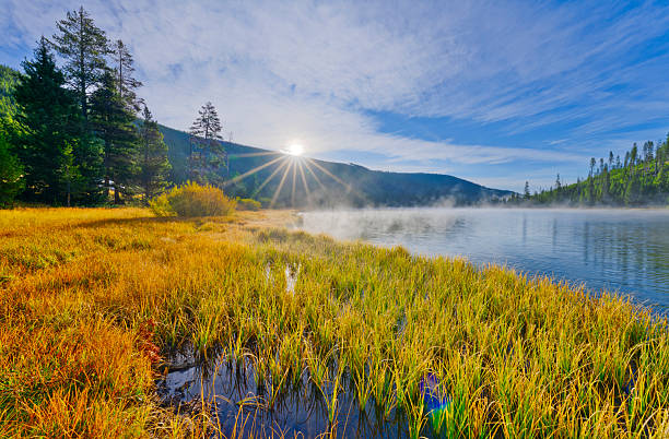 Twin Lakes forest and meadows along the Grand Loop road in Yellowstone National Park