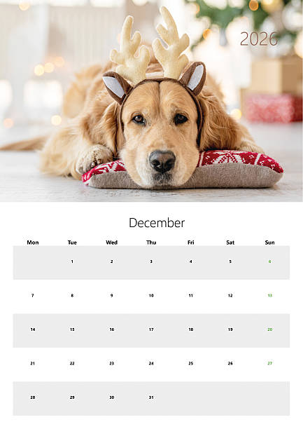 istock 2026 Flip Calendar For Printing A3 Format - December 2226673474