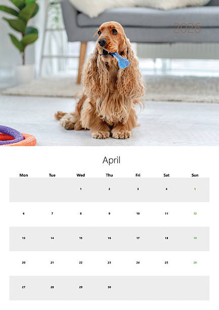 istock 2026 Flip Calendar For Printing In A3 Size - April 2226673614