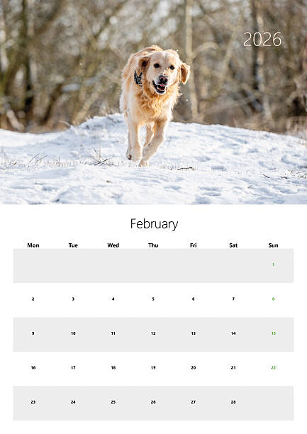 istock 2026 Flip Calendar For Printing A3 Format February 2226673684