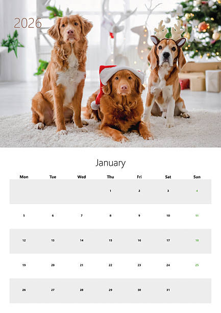 istock 2026 Flip Calendar For Printing A3 Size - January 2226673767