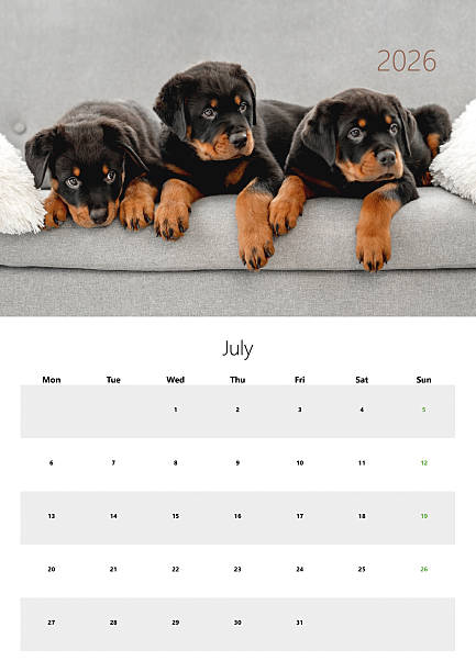 istock 2026 Flip Calendar For Printing A3 Format - July 2226673801