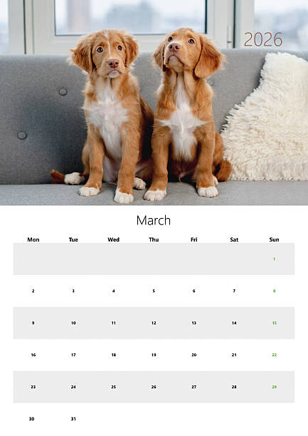 A3 Printable 2026 Flip Calendar - March Edition