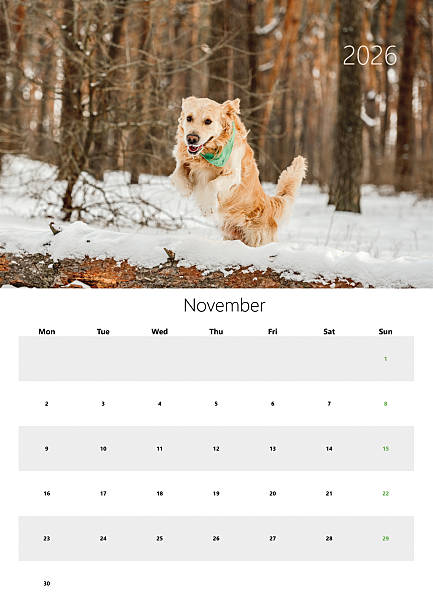 istock 2026 Flip Calendar For Printing In A3 Format - November 2226673940