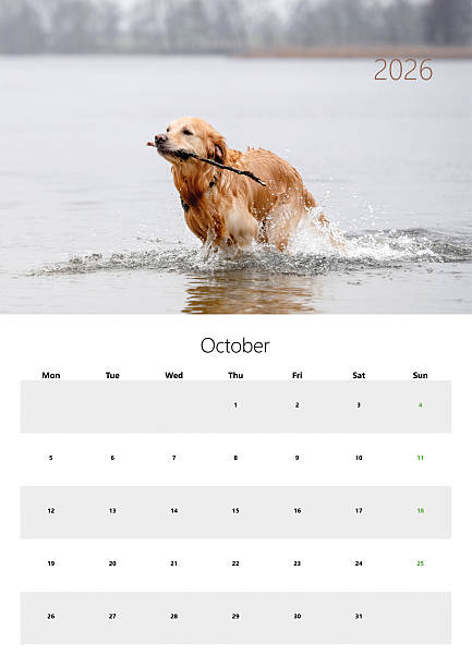 istock A3 Format Printable Flip Calendar For 2026 - October Edition 2226673968