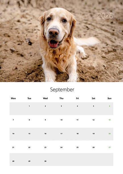 istock 2026 Flip Calendar In A3 Size Printable For September 2226674012