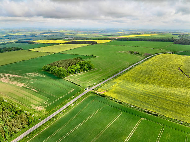 istock agricultural fields with blooming rape seed, Scotland, UK 2226676516