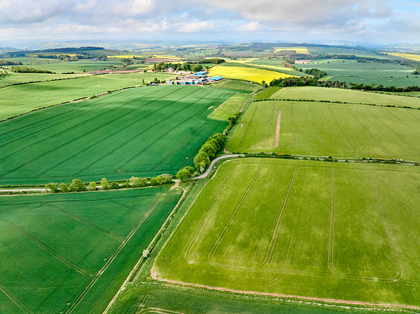 istock agricultural fields with blooming rape seed, Scotland, UK 2226677471