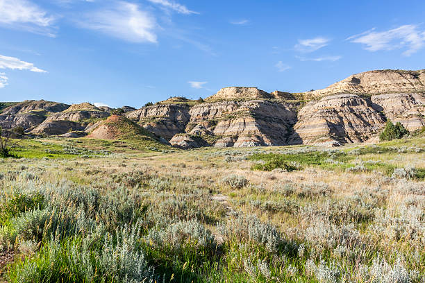 istock Beautiful North Dakota landscape in summer 2226681069