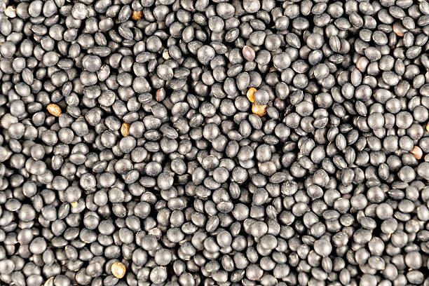 istock Close-up of black lentils texture with mixed shades 2226682264
