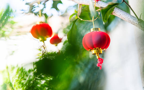 istock Red lanterns decoration for Chinese new year 2226692576