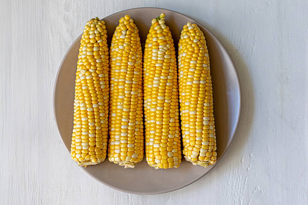 Four fresh corn cobs on plate top view. Top-down view of four raw yellow corn cobs neatly arranged on a plate, perfect for cooking, harvest, or healthy food themes.