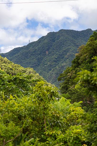 istock Lush Green Mountains with Vibrant Foliage 2226696615
