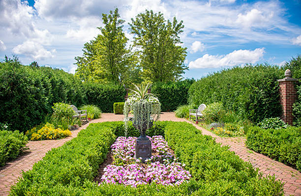 At the clarence e. lewis landscape arboretum on the campus of Michigan State University, lush greenery surrounds a formal English-styled garden with manicured hedges and vibrant pink flowers arranged around a central urn. Two benches create a peaceful space for relaxation, while tall trees in the background stand against a bright blue sky with fluffy clouds on a summer day in East Lansing, Michigan.