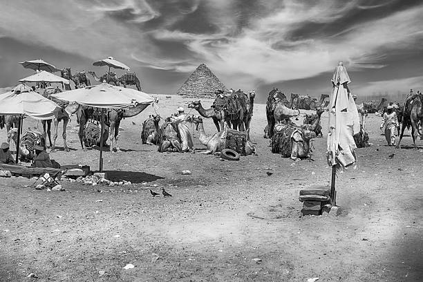 Camel ride around the pyramids of Giza, photographs of camels and their red ornament, sandy and warm-toned landscape. Idyllic scene, with happy and adventurous tourists living the dream of their lives. Cairo, Egypt.