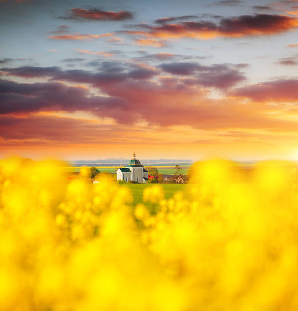Scenic aerial drone view of yellow rapeseed fields in Ile-de-France, France