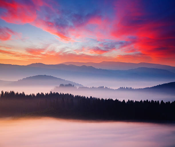Evening mountains landscape are illuminated by the sunset. Picture of colorful cloudy sky. Location place of Carpathian mountains, Ukraine, Europe. Perfect summertime wallpaper. Beauty of earth.