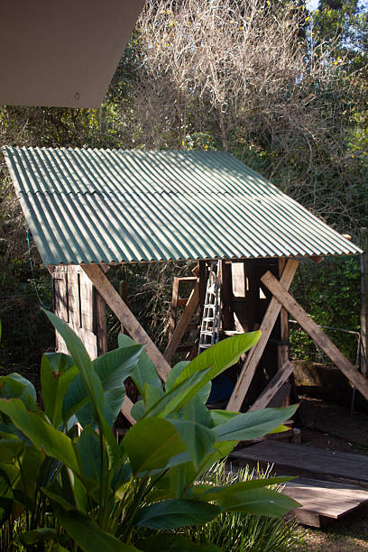 istock man building his own shack 2226699166