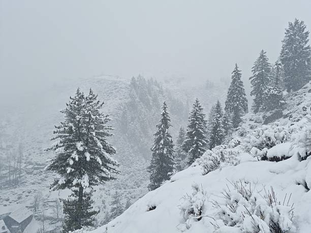 The unique and stunning beauty of the different areas of Neelum Valley Azad Kashmir, including the main tourist destinations Taobat, sharda, arrange kel and keran etc. the Kashmir valley is full of lush green trees and lush fields.