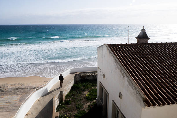 Scenic Beach View from Coastal Terrace. High quality photo