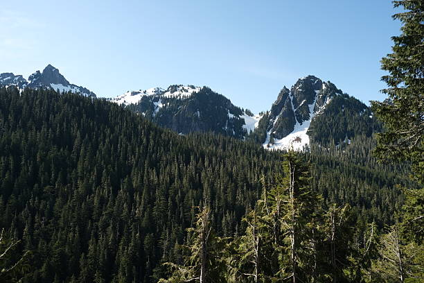 istock Mt. Rainier National Park 2226705625