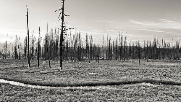 istock Yellowstone National Park in Wyoming 2226705740