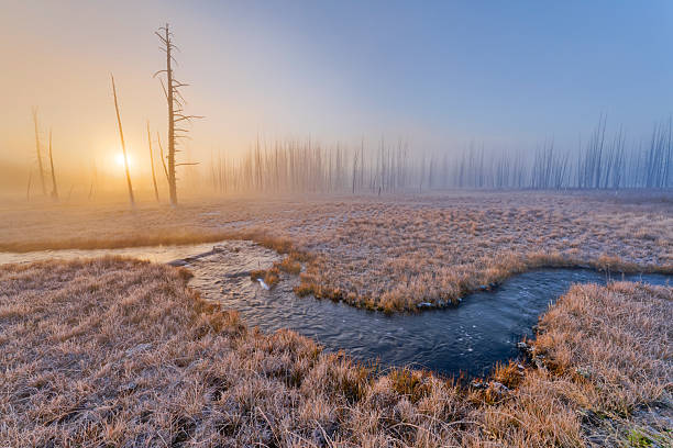 Beautiful sunrise in nature with haze on an autumn morning. Sheeps are eating grass near a small lake.