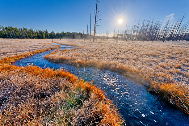 istock Yellowstone National Park in Wyoming 2226705797
