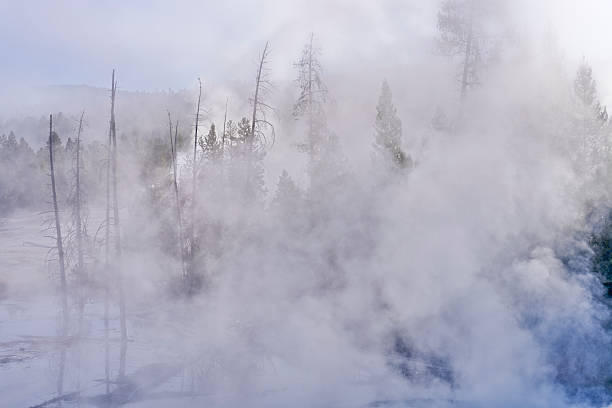 freedom girl jumping at yellowstone state park