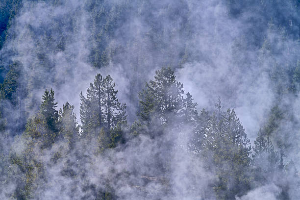 istock Yellowstone National Park in Wyoming 2226705873