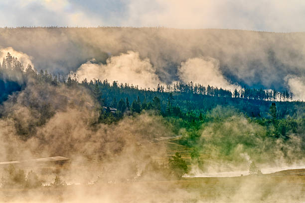 Firehole River at dawn in Yellowstone National Park