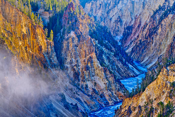 in Yellowstone National Park