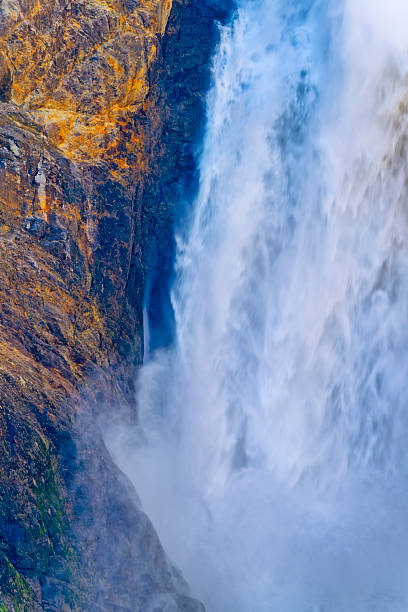 in Yellowstone National Park