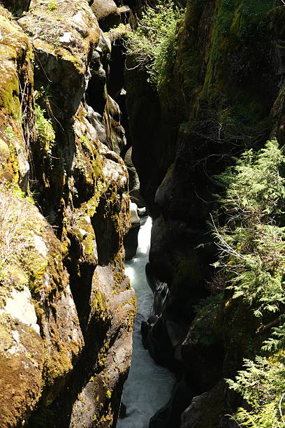 istock Mt. Rainier National Park 2226706053
