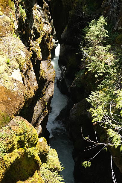 istock Mt. Rainier National Park 2226706065