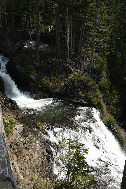 istock Mt. Rainier National Park 2226706838