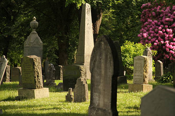 A serene view of Camp Hill Cemetery in Halifax, Nova Scotia, showcasing historic gravestones nestled among mature trees and lush greenery. The peaceful atmosphere and heritage architecture reflect the city's rich history and quiet reverence.