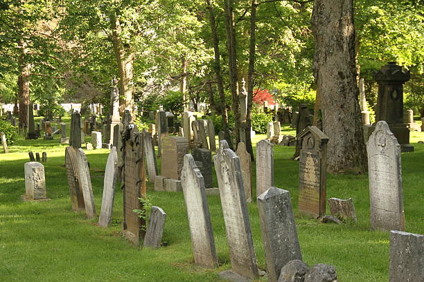 A serene view of Camp Hill Cemetery in Halifax, Nova Scotia, showcasing historic gravestones nestled among mature trees and lush greenery. The peaceful atmosphere and heritage architecture reflect the city's rich history and quiet reverence.