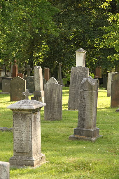 istock Halifax’s Historic Cemetery Landscape 2226714129