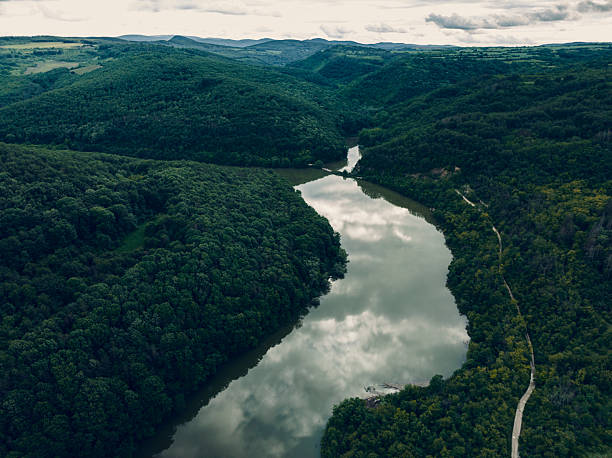 istock Tropical River & Lush Green Reinforest. Biodiversity, Reforestation & Sustainability 2226715835