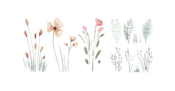 istock Botanical watercolor set. Herbarium of various plants on a white background. Freshly cut plants. Forest flowers, herbs, berries. 2226715888