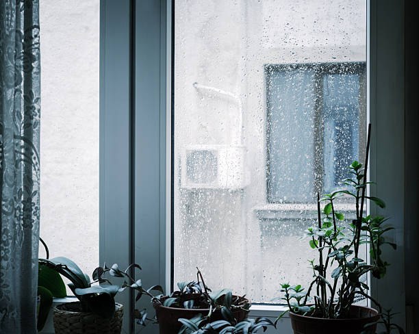 istock Cozy Indoor View Through a Window on a Rainy Day With Plants 2226719302