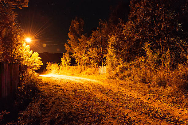 A nighttime rural road illuminated by a streetlight, casting a warm orange glow on surrounding trees and foliage. The scene conveys a serene and slightly mysterious atmosphere, making it ideal for concepts of solitude and rustic charm.