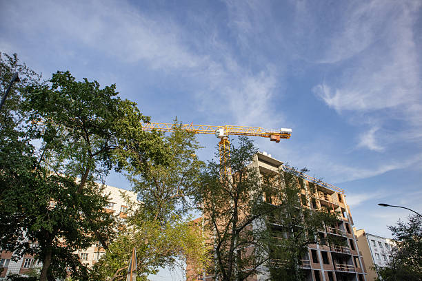 istock View from below of a construction crane with a building under construction against a blue sky, green trees in the foreground 2226721835