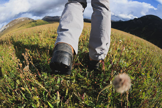 istock People hiking on high altitude mountain top grassland 2226722811
