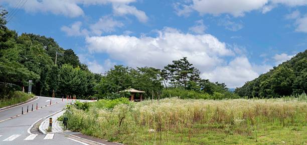 The Road to the Blue Forest (July 15, 2025, Hwasun-eup, The Road to the Blue Forest, Hwasun-gun, Jeollanam-do, Korea)